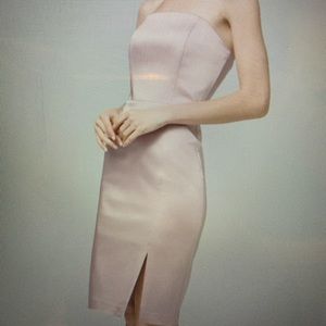 NWT WHBM Satin Strapless Sheath Dress, 14P